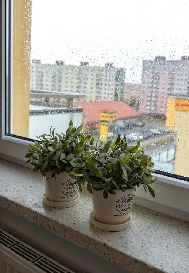 Top Floor Apartment Gorzow Wielkopolski Luaran gambar